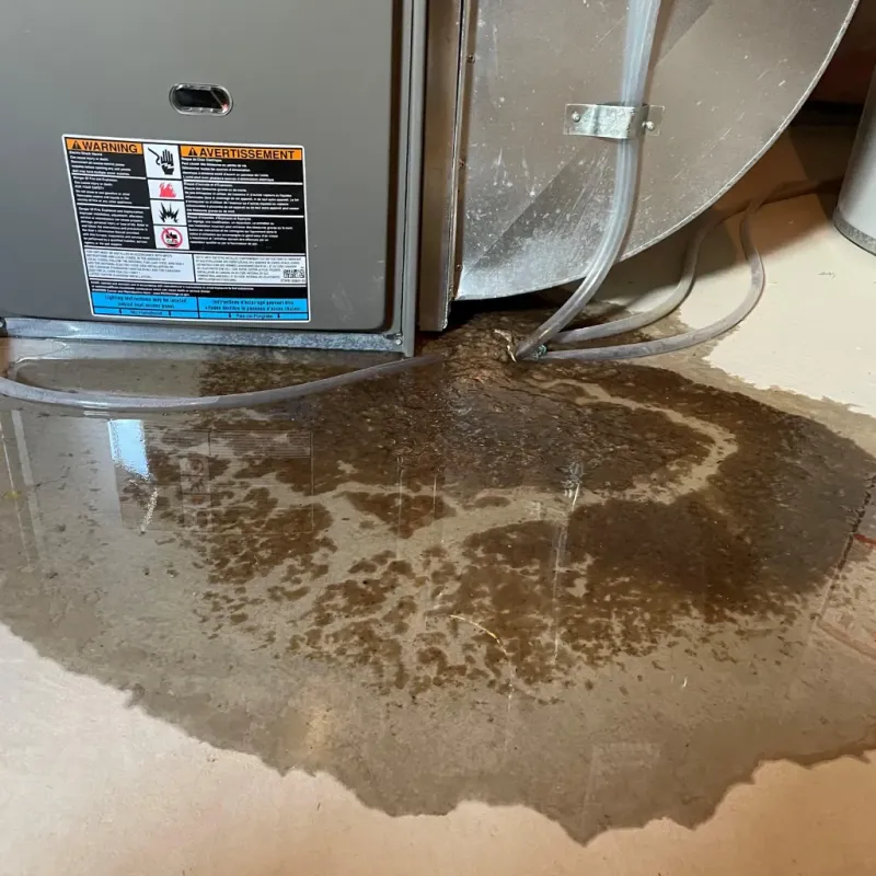 Appliance Leak Cleanup in Norwood, NC